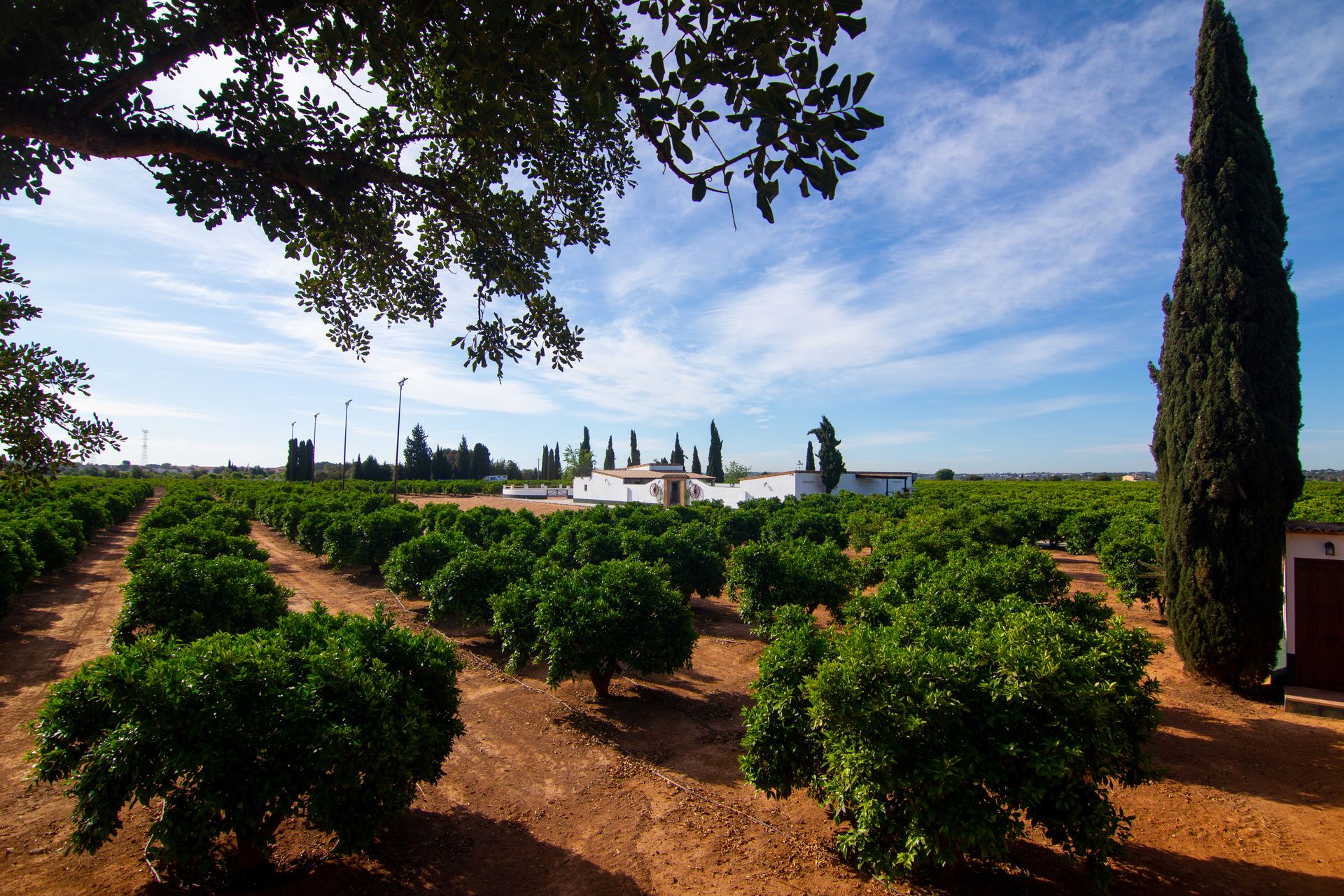 Finca La Campana, espacio para bodas y eventos (10)