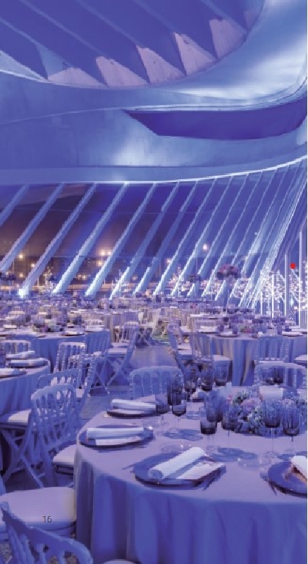 Palau de les Arts Reina Sofía, espacio para eventos en Valencia (11)