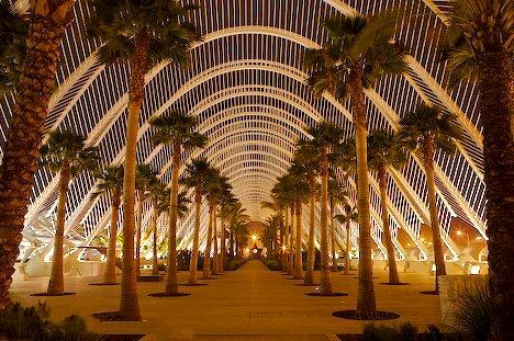 Umbracle - Catering Noray