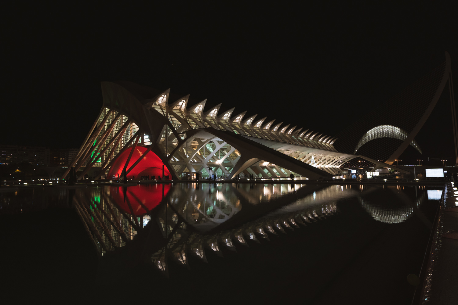 Museo Príncipe Felipe, espacio para eventos de empresa en Valencia (1)