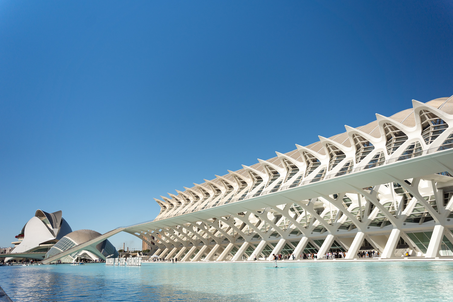 Museo Príncipe Felipe, espacio para eventos de empresa en Valencia (3)