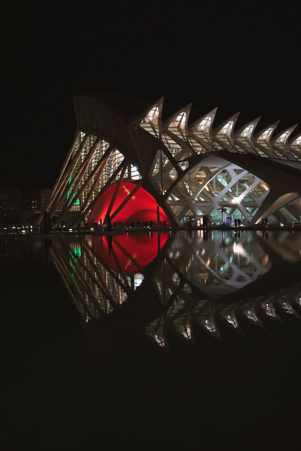 Museo Príncipe Felipe, espacio para eventos de empresa en Valencia (5)
