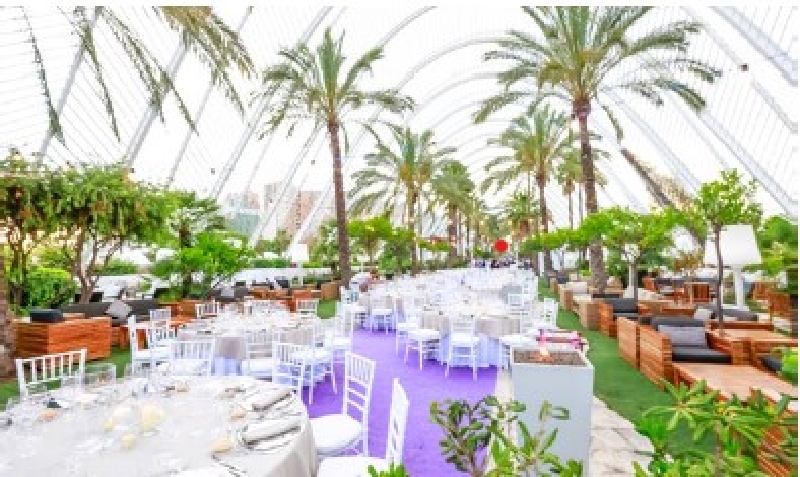 Umbracle - Catering Noray