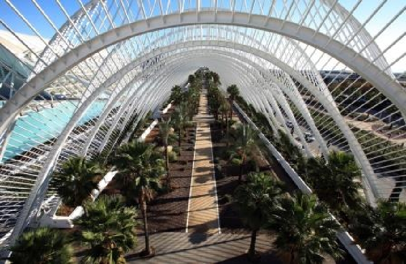 Umbracle - Catering Noray
