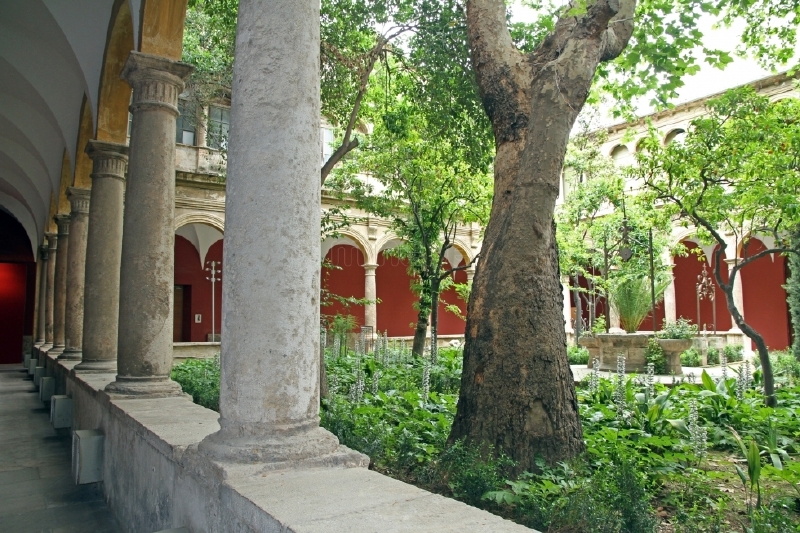 Museo del Carmen - Catering Noray