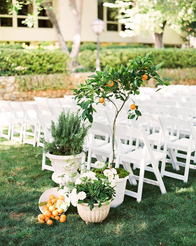 Organización boda valencia Evento en verano