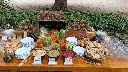 20240430_103854902_iOS.webp