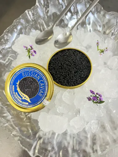 [AFP001] Caviar XS